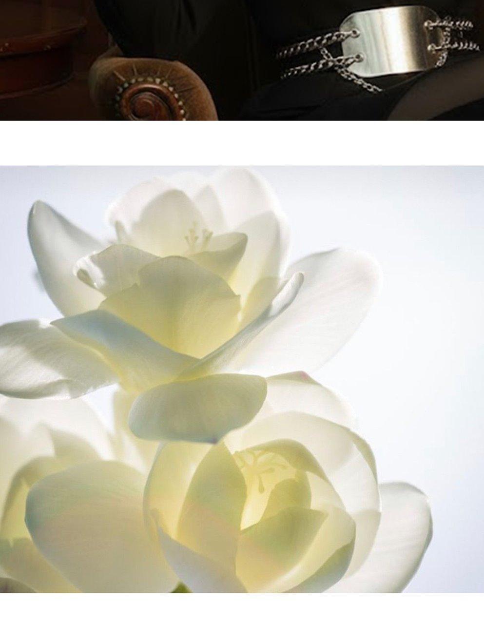macni - Eau de Perfume (4 Types)