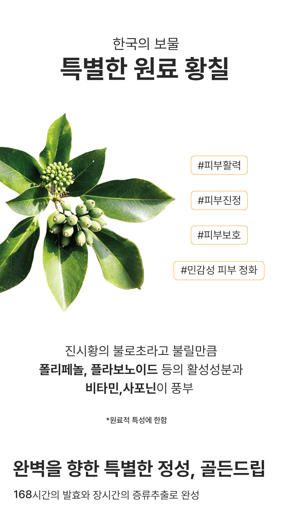 REBECOCO - Golden Drip Phyto‑Repairing Ampoule Serum