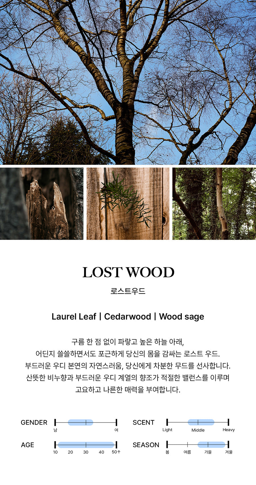 BIBIANG - Lost Wood EDP 50ml (BND JAEHYUN Pick)