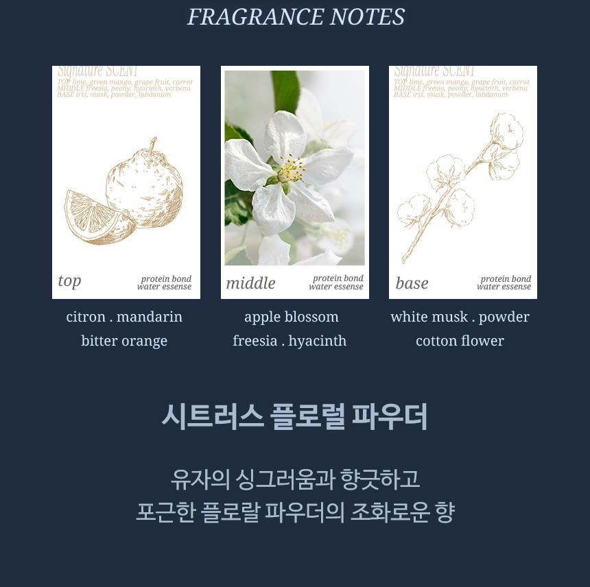 HAiR+ - Protein Bond Ampoule Essence 200ml + 50ml + Mirror & Comb Set (Pokémon Collaboration)