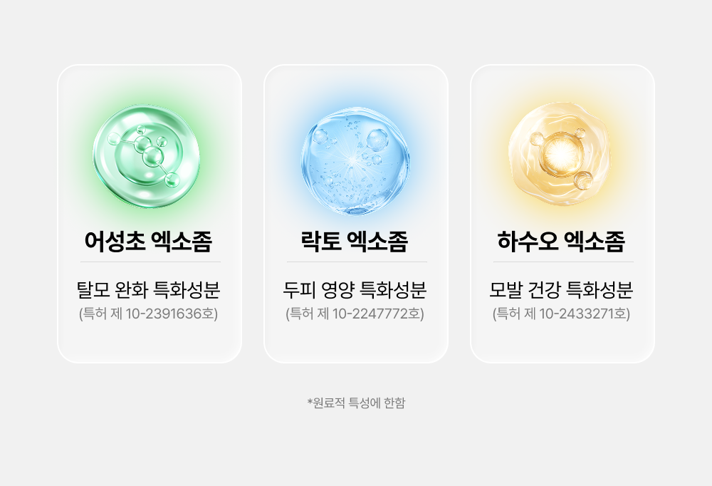 lilyeve - Scalp Turn Cica PDRN Deep Clean Shampoo 500g + 100g + Jigglypuff Pouch (Pokémon Collaboration)