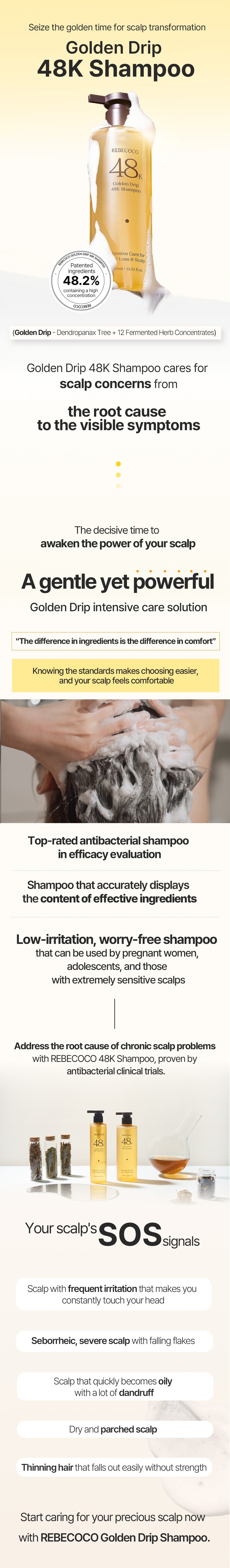 REBECOCO - Golden Drip 48K Shampoo 255ml