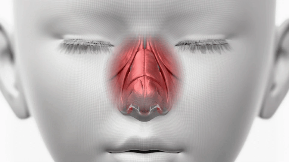 HONBODY - Nose Tune (Beauty Device)