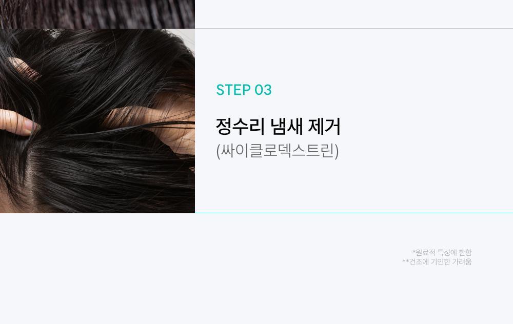 lilyeve - Scalp Turn Cica PDRN Brush Ampoule 100ml + 30ml + Jigglypuff Brush (Pokémon Collaboration)