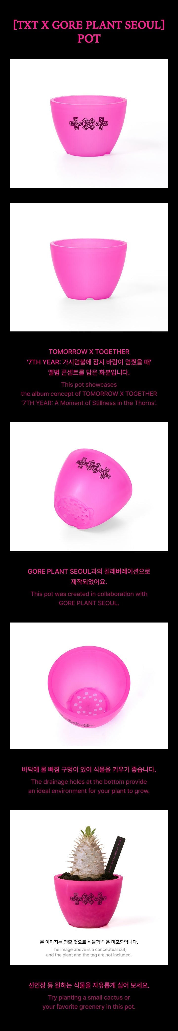 TOMORROW X TOGETHER x Gore Plant Seoul - Pot