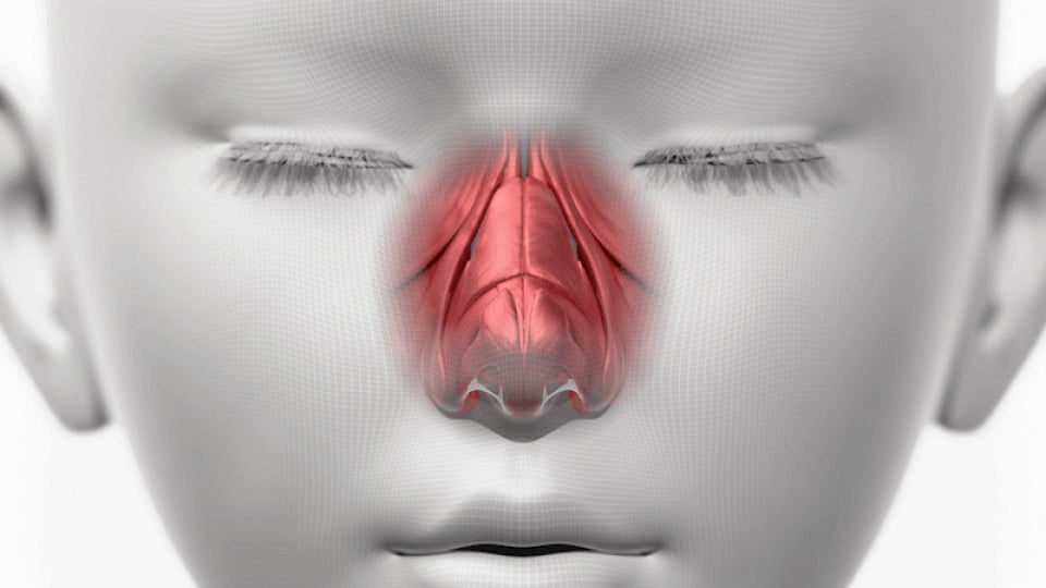 HONBODY - Nose Tune (Beauty Device)