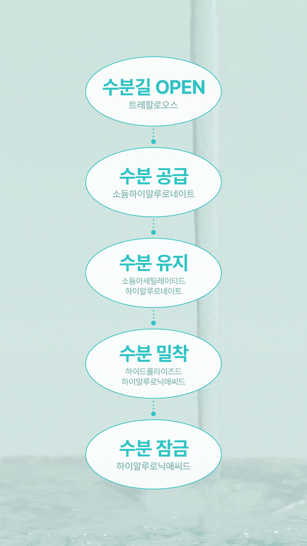 numbuzin - No.1 Pantothenic B5 Active Soothing Serum 50ml + Refill 50ml