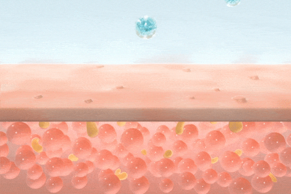 numbuzin - No.1 Pantothenic B5 Active Soothing Serum 50ml + Refill 50ml