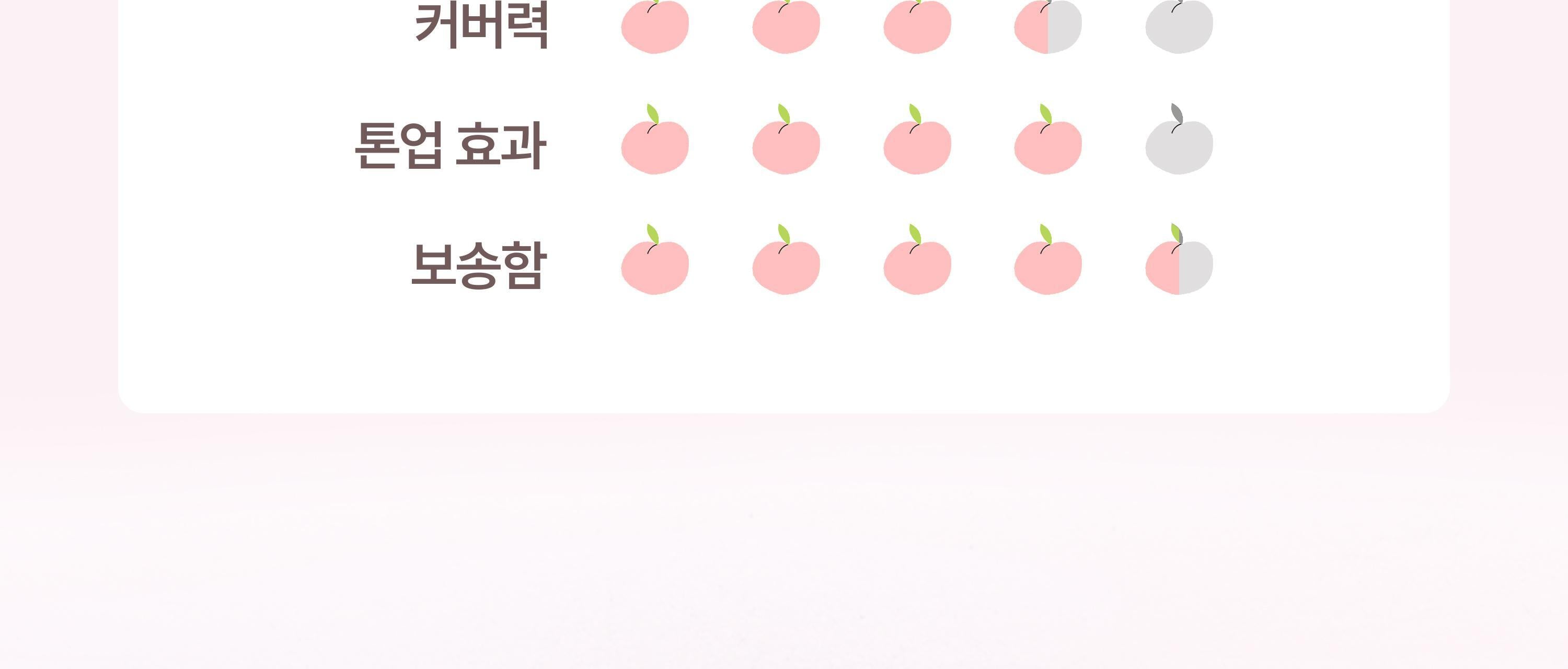 2aN Mini Long Wearing Foundation