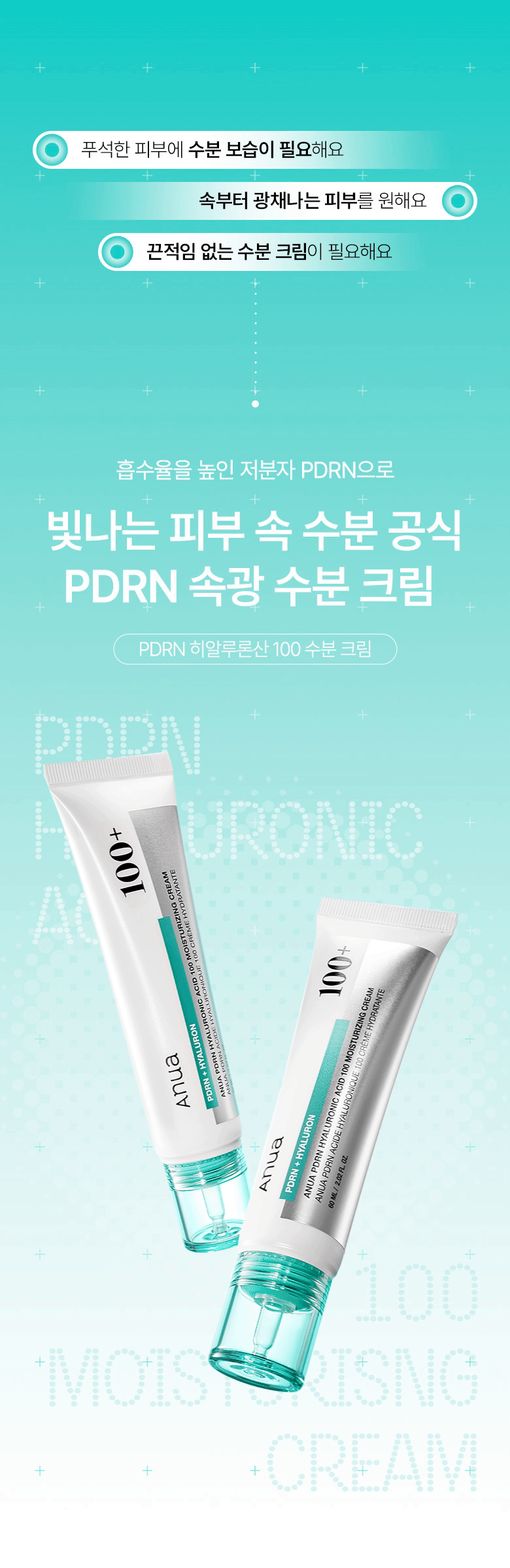Anua - PDRN Hyaluronic Acid 100 Moisturizing Cream 60ml (+60ml)