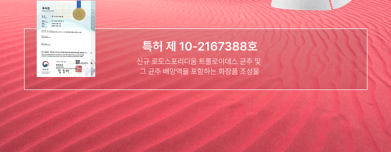 Anua - Mask Pack 5+1 (K-POP DEMON HUNTERS Collaboration)
