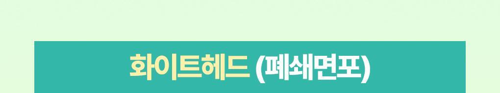 BRINGGREEN - Tea Tree Cica Soothing Toner 500ml (+Serum 3ml)