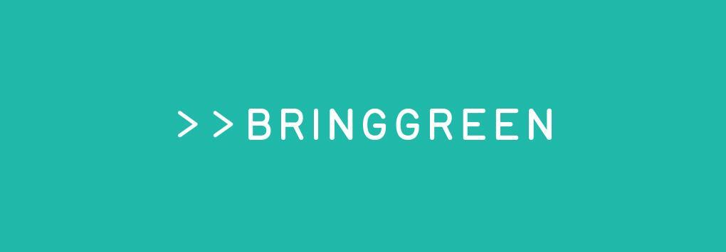 BRINGGREEN X ANKYUNGMANDOO - Zinc TECA Blemish Serum