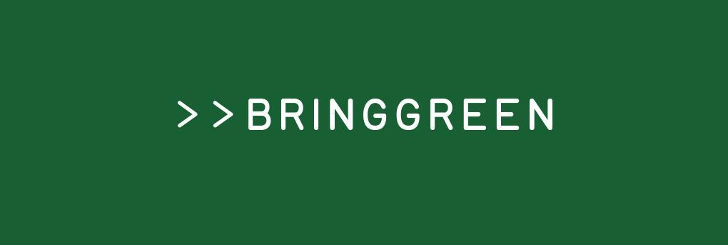 BRINGGREEN - Zinc Teca Phyto BB Sun 50ml + 20ml + Mini Cushion (Pokémon Collaboration)