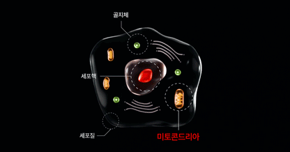 makeON - ONFACE LED Mask (Firming & Brightening Care) [New Launch!]