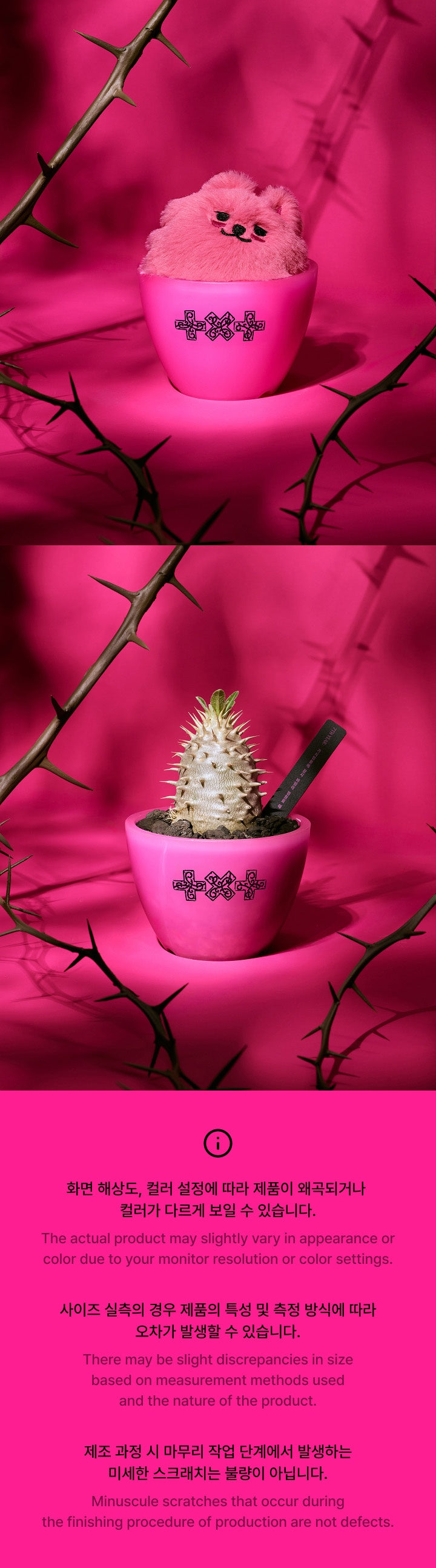 TOMORROW X TOGETHER x Gore Plant Seoul - Pot