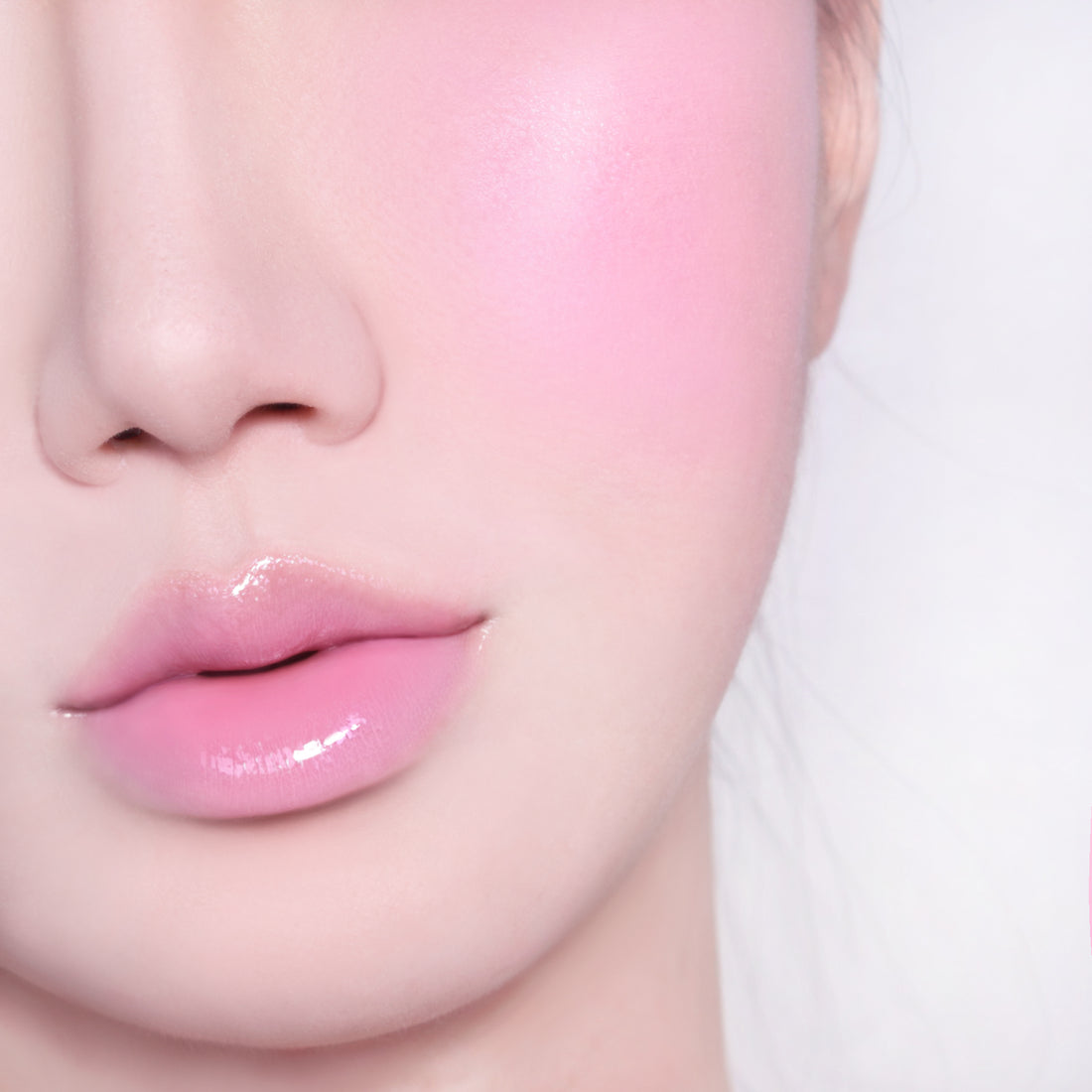 [Zootopia Edition] 16 Milky Guava