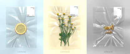COYSEIO - Pomponne 038 Hand Cream 50ml