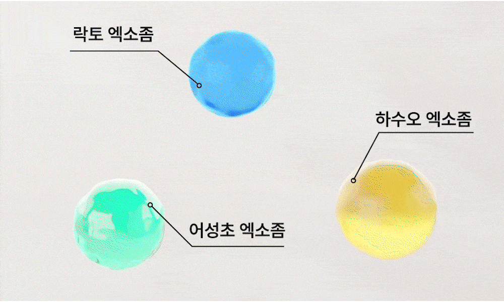 lilyeve - Scalp Turn Cica PDRN Brush Ampoule 100ml + 30ml + Jigglypuff Brush (Pokémon Collaboration)