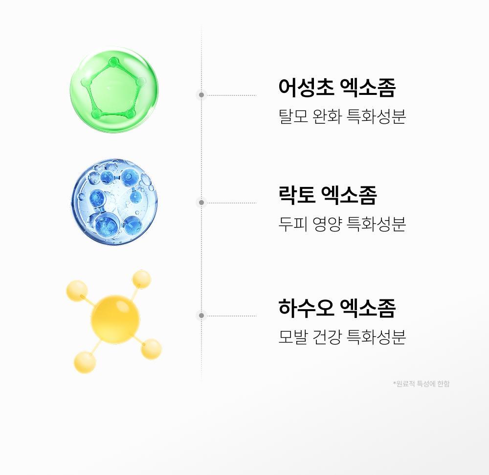 lilyeve - Scalp Turn Cica PDRN Brush Ampoule 100ml + 30ml + Jigglypuff Brush (Pokémon Collaboration)