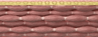 BEAUND - Eye Rejuve (Eye Care Device) [New Launch!]