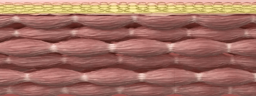 BEAUND - Eye Rejuve (Eye Care Device) [New Launch!]