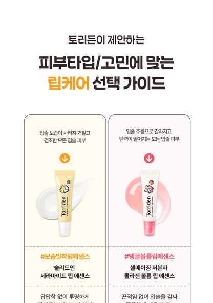 Torriden - Solid In Lip Essence 11ml x 3ea + Togepi Sticker (Pokémon Collaboration)