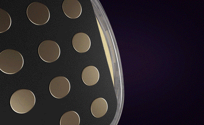 EOA - FULTENZA Premium Lifting Beauty Device [New Launch!]