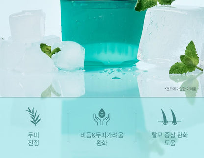 lilyeve - Scalp Turn Cica PDRN Brush Ampoule 100ml + 30ml + Jigglypuff Brush (Pokémon Collaboration)