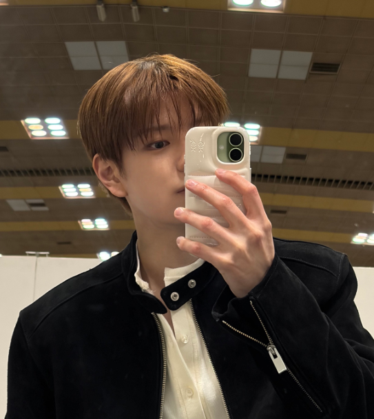 Urban Sophistication - The Puffer Phone Case (Stray Kids SEUNGMIN's Pick)
