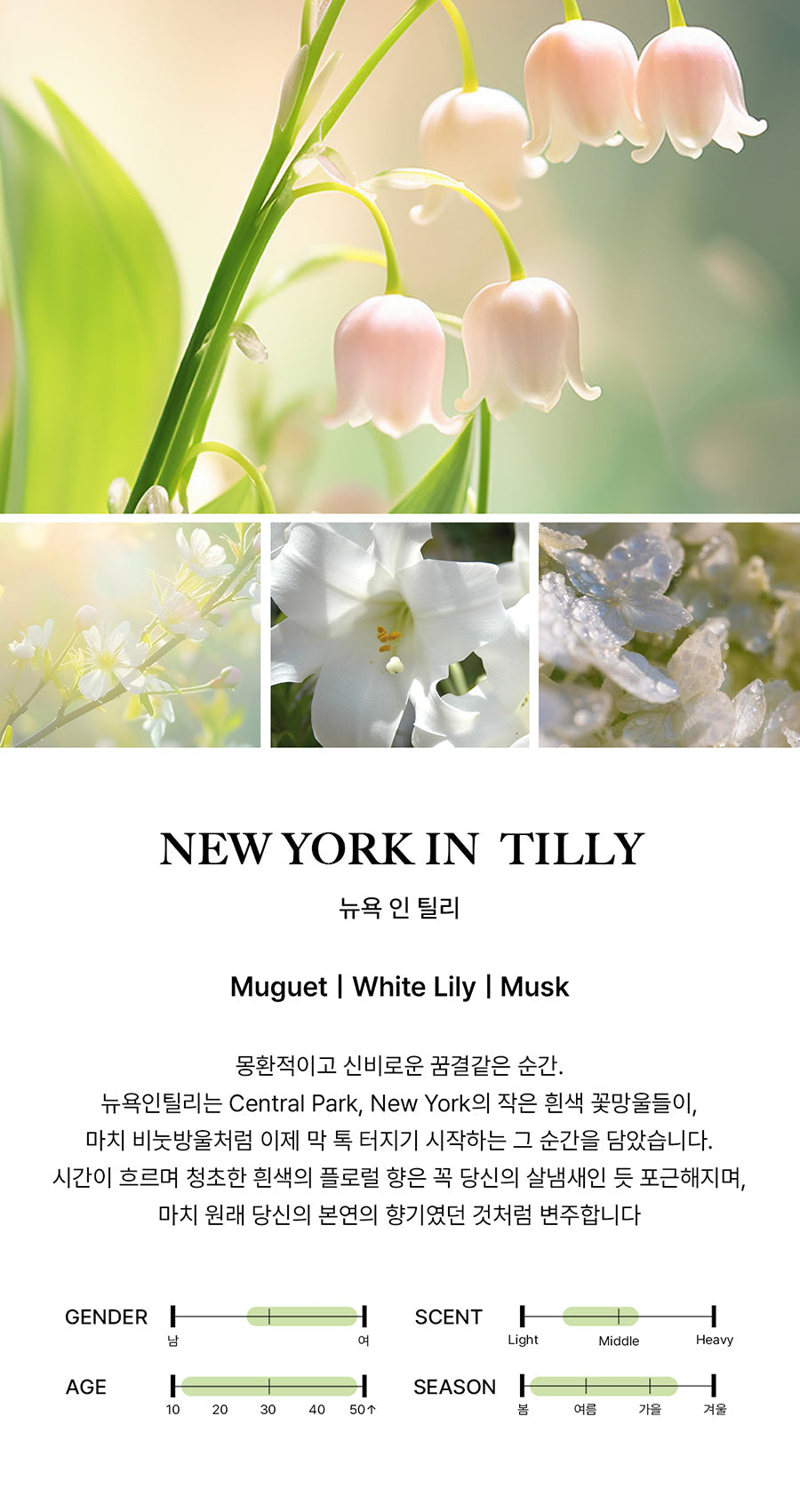 BIBIANG - New York in Tilly EDP 50ml (BND LEEHAN Pick)