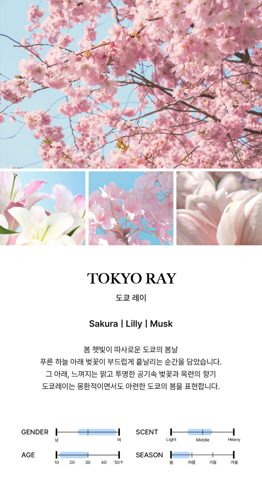 BIBIANG - Tokyo Ray EDP 50ml (BND RIWOO Pick)