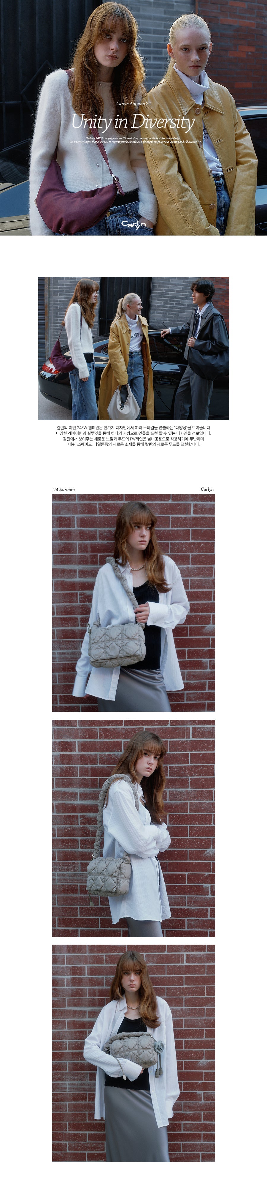 Carlyn Luke Bag