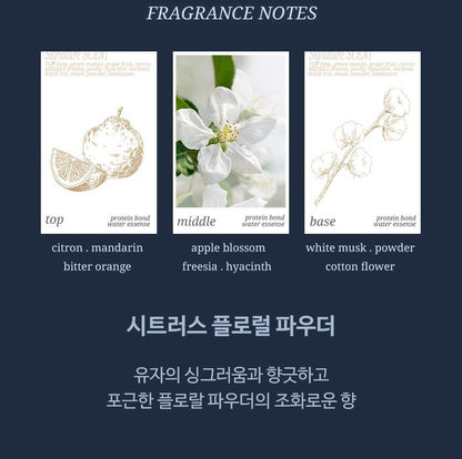 HAiR+ - Protein Bond Ampoule Essence 200ml + 50ml + Mirror & Comb Set (Pokémon Collaboration)