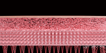 THERMATHERA - Unlimited-Shot HIFU Beauty Device [New Launch!]