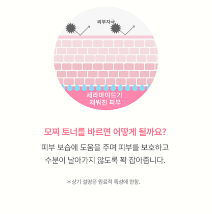 TONYMOLY - Ceramide Mochi Toner 500ml + 100ml + Cream 30ml (LIZ Pick)