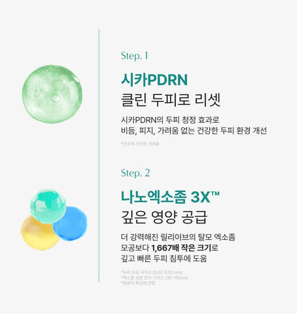 lilyeve - Scalp Turn Cica PDRN Brush Ampoule 100ml + 30ml + Jigglypuff Brush (Pokémon Collaboration)