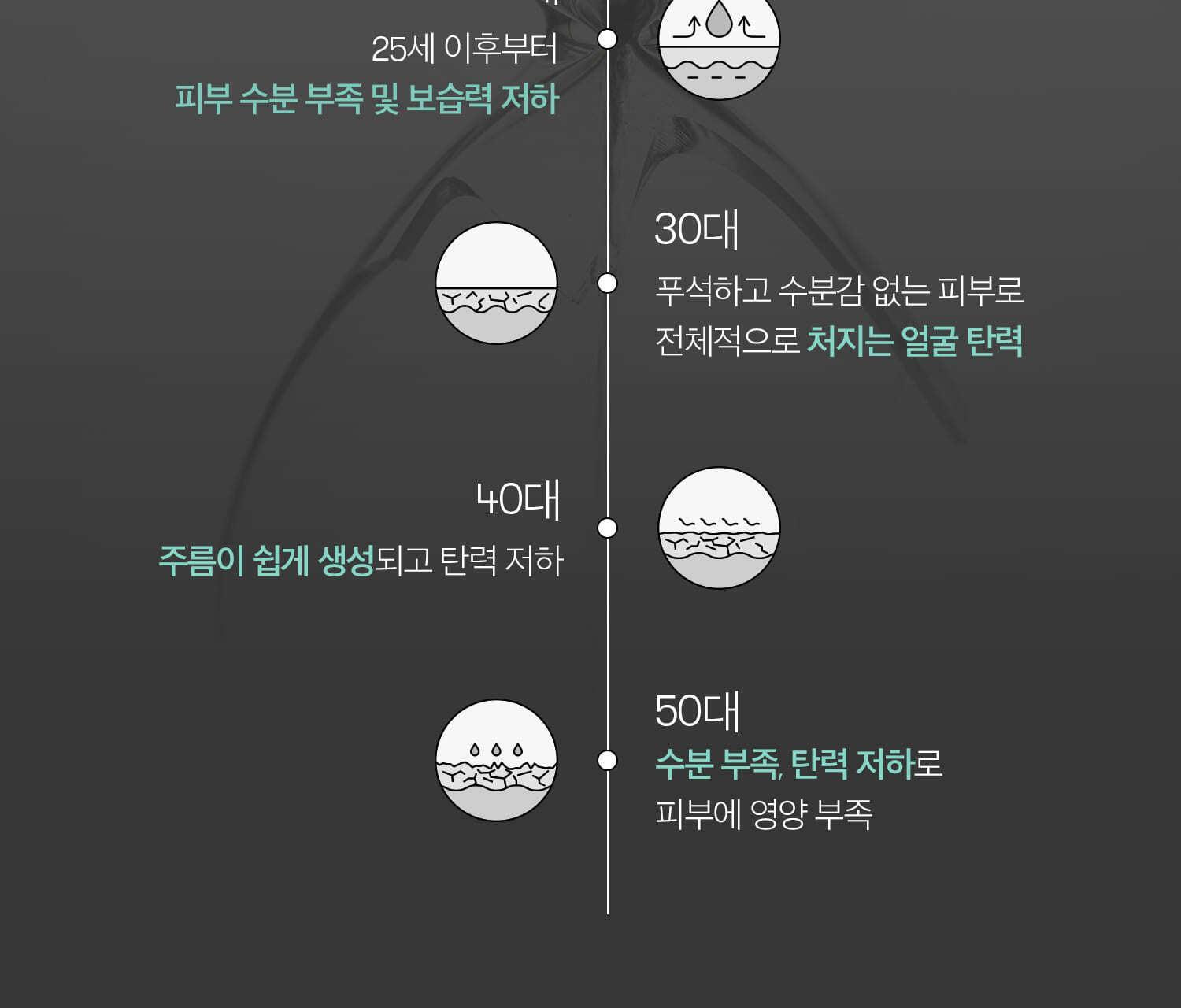 VT - PDRN Capsule Cream 100 50ml