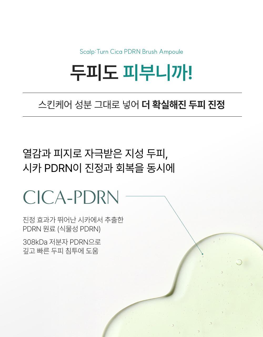 lilyeve - Scalp Turn Cica PDRN Brush Ampoule 100ml + 30ml + Jigglypuff Brush (Pokémon Collaboration)