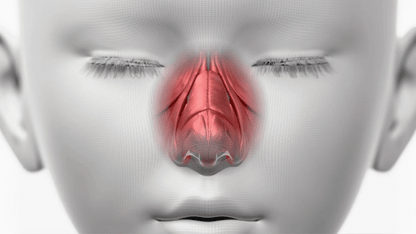 HONBODY - Nose Tune (Beauty Device)