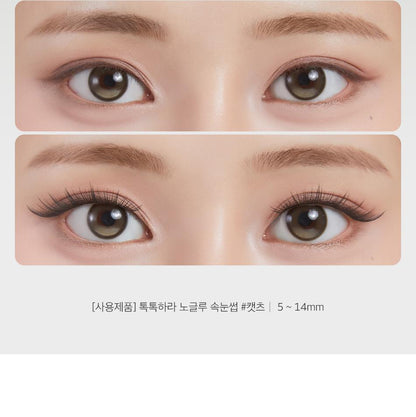 CORINGCO - TOKTOKHARA No Glue Eyelash
