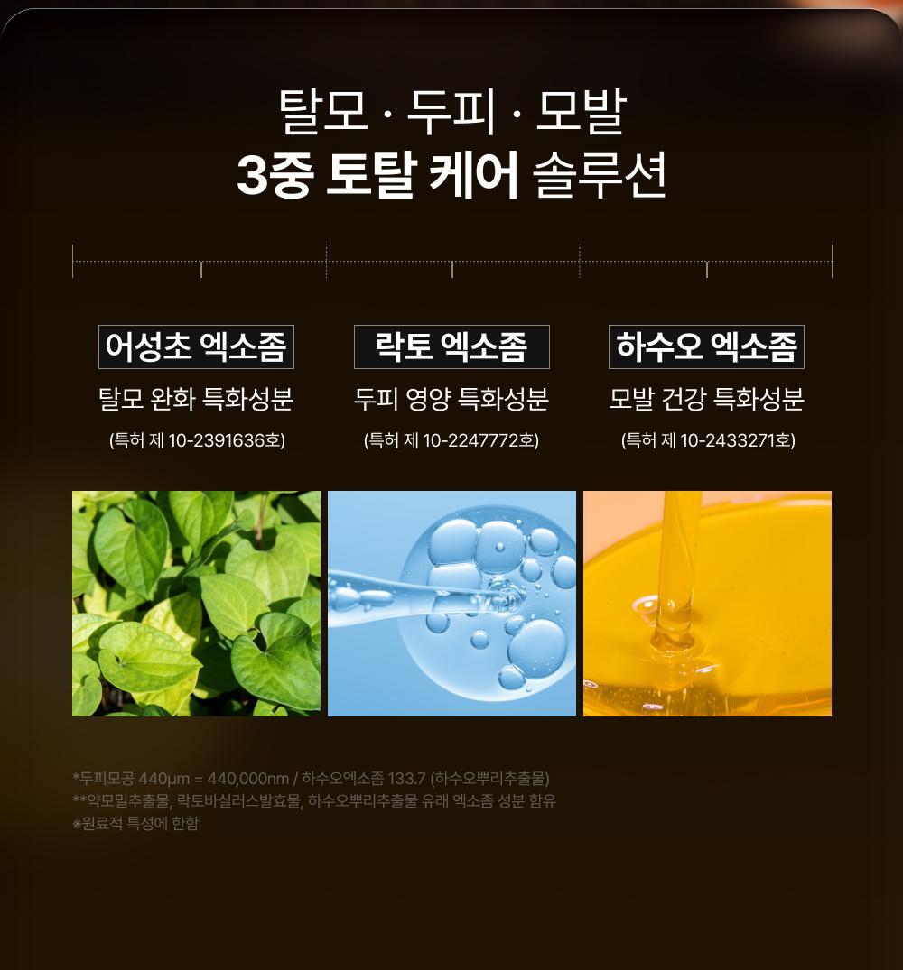 lilyeve - Grow Turn Exosome Brush Ampoule 100ml + 30ml + Charmander Brush (Pokémon Collaboration)