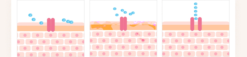 DUALTETRA HALO Beauty Device [New Launch!]