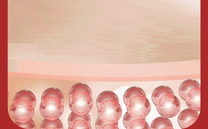 ALIGNLAB Leffit V Band-Type Massager (V-Line & Lifting & Firming)