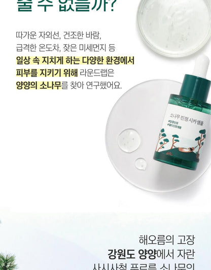 ROUND LAB X Nunmeongi - Pine Calming Cica Ampoule 30ml + Refill 30ml + Facial Mask + Sticker