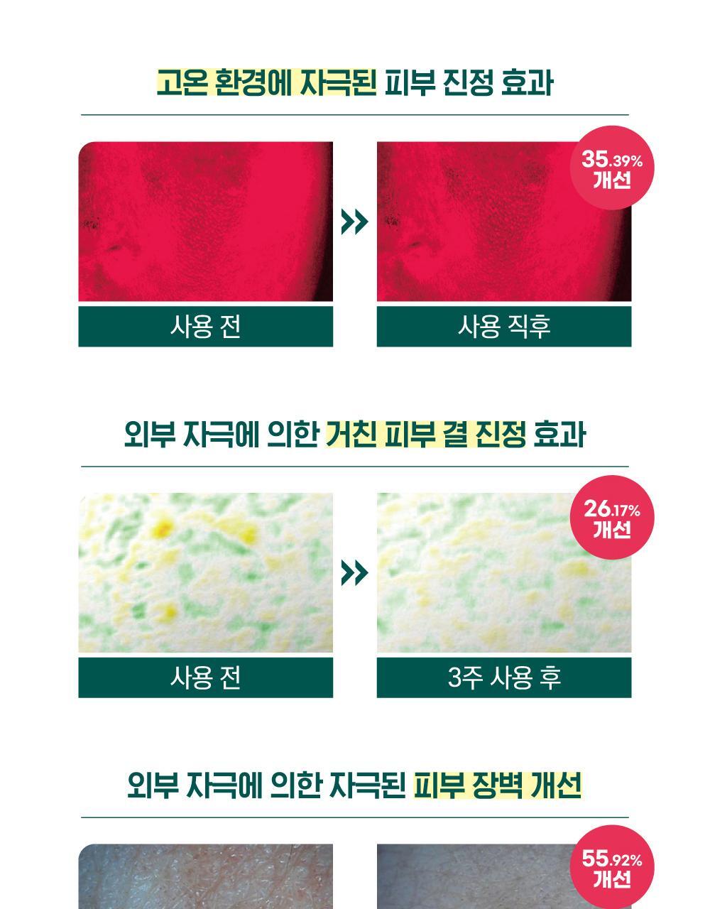 ROUND LAB X Nunmeongi - Pine Calming Cica Ampoule 30ml + Refill 30ml + Facial Mask + Sticker