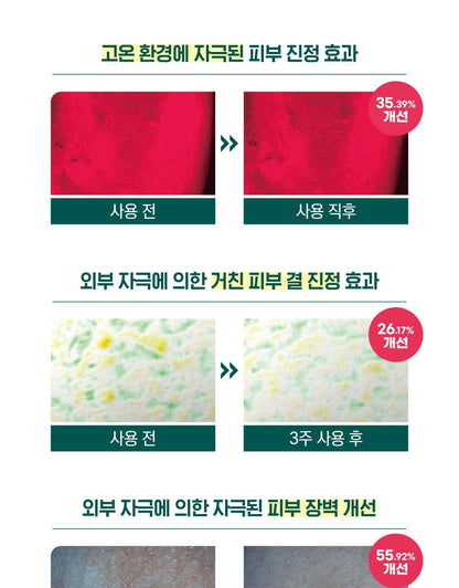 ROUND LAB X Nunmeongi - Pine Calming Cica Ampoule 30ml + Refill 30ml + Facial Mask + Sticker