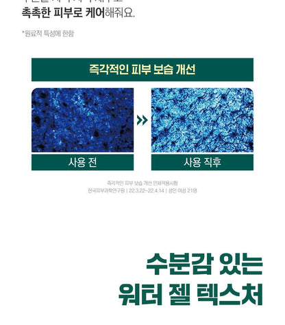 ROUND LAB X Nunmeongi - Pine Calming Cica Ampoule 30ml + Refill 30ml + Facial Mask + Sticker