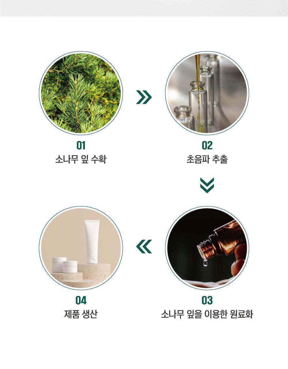ROUND LAB X Nunmeongi - Pine Calming Cica Ampoule 30ml + Refill 30ml + Facial Mask + Sticker