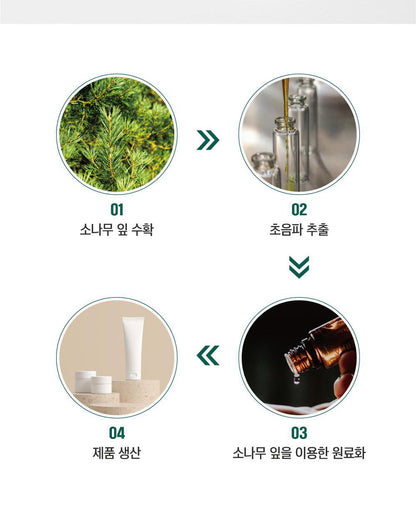 ROUND LAB X Nunmeongi - Pine Calming Cica Ampoule 30ml + Refill 30ml + Facial Mask + Sticker